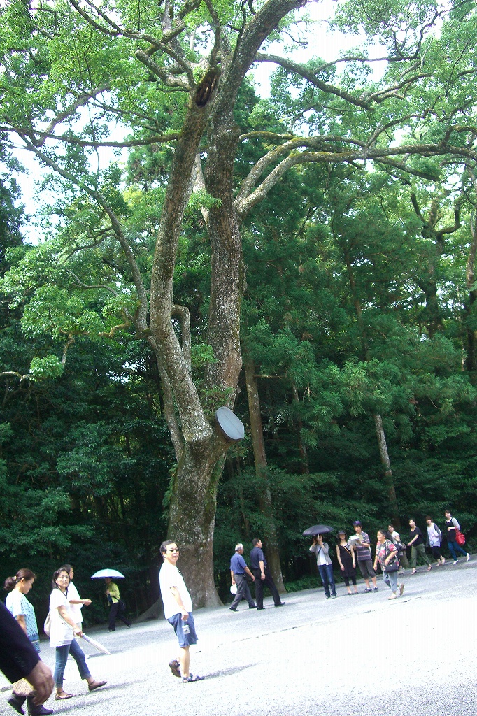 伊勢神宮の参道 伊勢神宮へ行こう