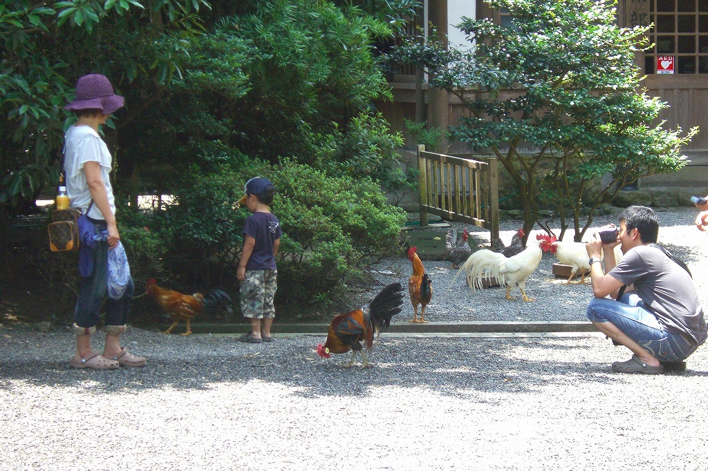 伊勢神宮の参道 伊勢神宮へ行こう